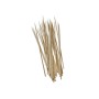 Kebab skewers wood 3 mm 20 cm 12693