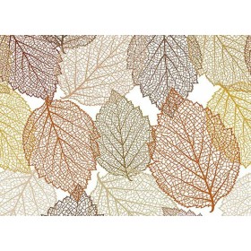 CERATA 140CM ROLKA 20MB CLASSICO ES 0811