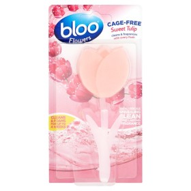 BLOO FLOWERS CAGELESS RIM SWEET TULIP  zawiesz