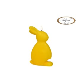 siwieca classeas slon zaj4