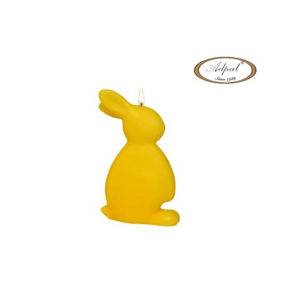 siwieca classeas slon zaj4