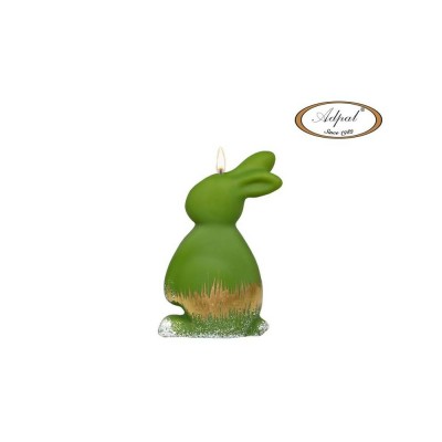 swieca bunnyii oliw zajm