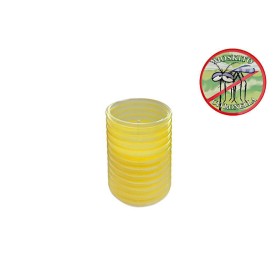 citronellamix11070bok