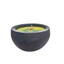 citronela130gbok