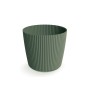 milly pinia zielona 2411