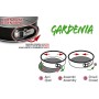 GARDENIA