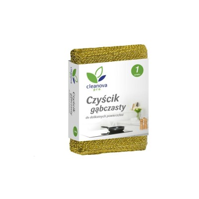 Zmywak FORTE   Czycik g¹bczasty 5831 Forte Plus